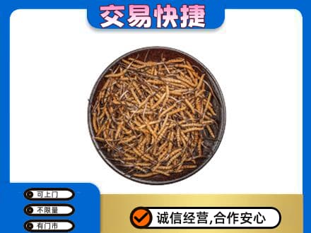 石拐区回收散虫草